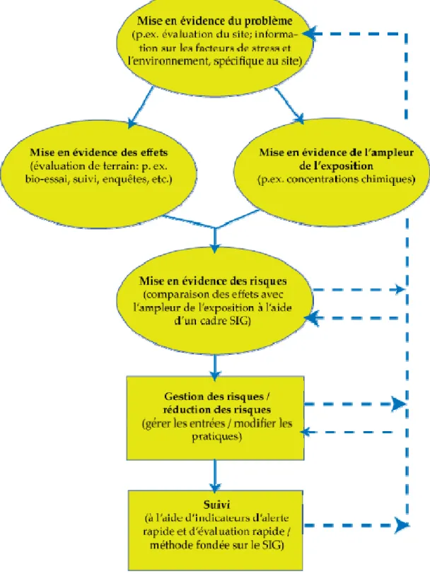 Figure 1. Modèle pour l’évaluation des risques pour les zones humides (Secrétariat de la  Convention de Ramsar 2007a) 