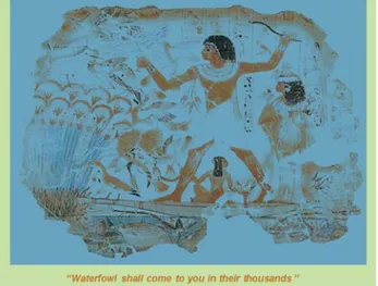 Fig. 1. “Waterfowl shall come to you in their thousands” (from a tomb at Thebes, XVIII Dynasty, about BC 1580-1350; now in the British Museum).