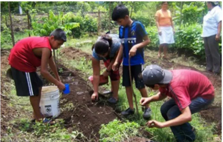 Fig. 1. Agricultura en zona rural de El Salvador.