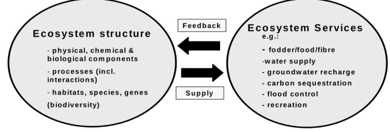 Figure 1. The Millennium Ecosystem Assessment’s description of “ecosystems” 