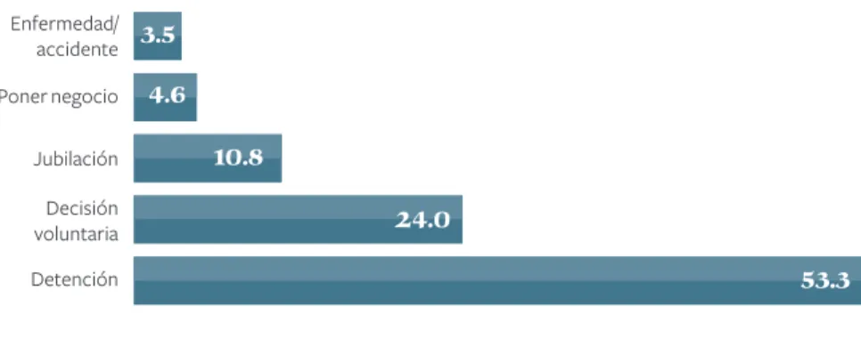Gráfico 8