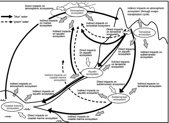 Figure 1: Phases of the Hydrological Cycle, showing the inter-relationships between environmental 
