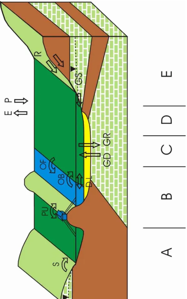 Figure 7. Block diagram of a hypothetical wetland, showing water transfer mechanisms in  different zones