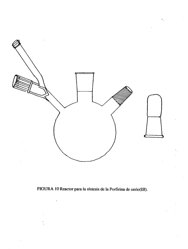 FIGURA  10  Reactor  para la síiitesis de la Porrtrina  de cerio(II1). 