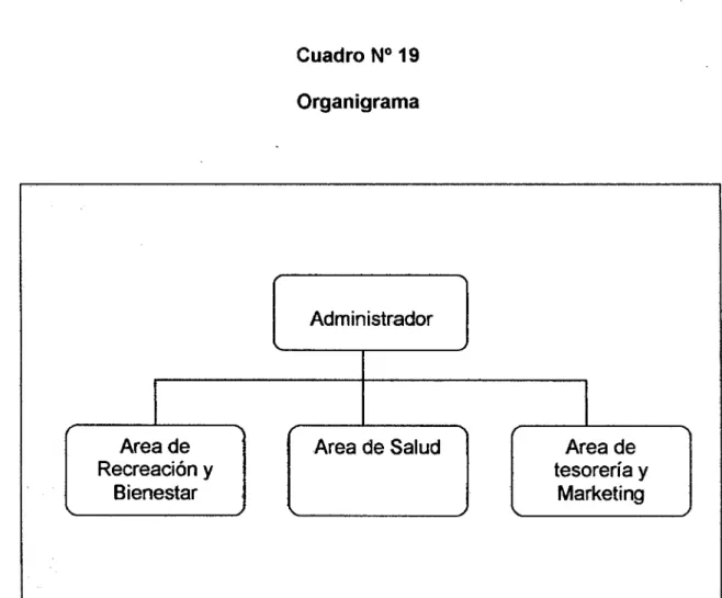 Cuadro N° 19  Organigrama 