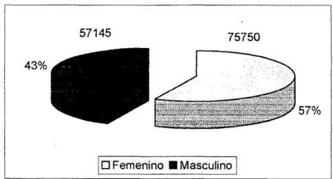Gráfico N°  1 