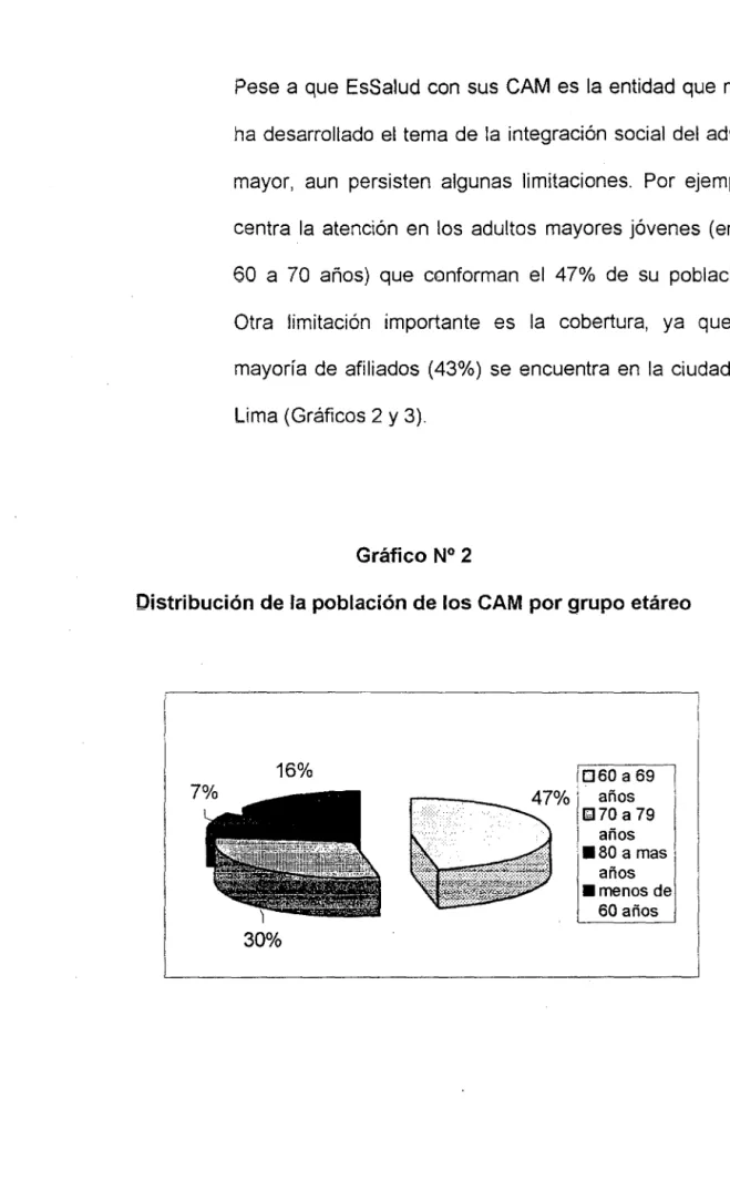 Gráfico N° 2 