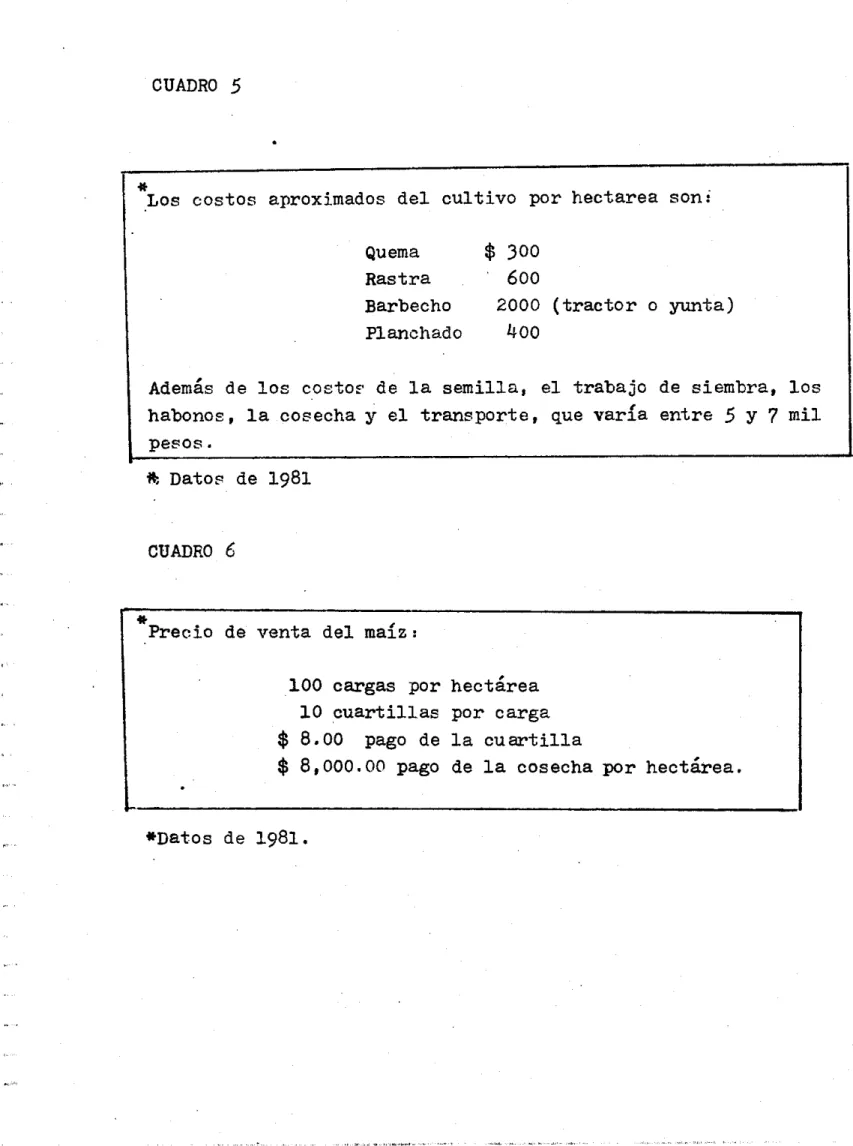 CUADRO  5  I-  *  P r e c i o   de  venta  d e l   m a í z :   100  cargas  por  h e c t á r e a   1 0   c u a r t i l l a s   por  c a r g a   $  8.00  $  8,000.00  pago  de  l a   cosecha  p o r   h e c t á r e a 