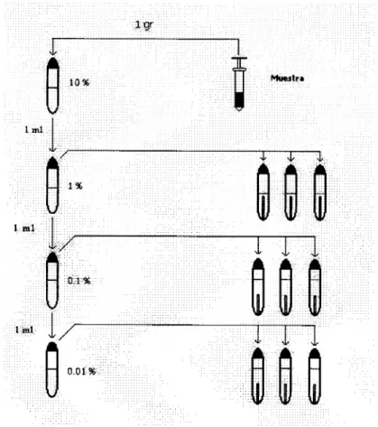 Figura 4. Inoculación  de  muestras  de  sedimento 