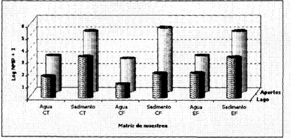 Figura  12. Valores  promedio  de  bacterias  en  agua  y  sedimento  en  el Lago  Huayamilpas 