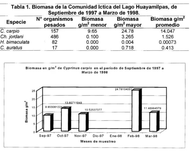 Tabla  1.  Biomasa  de la Comunidad lctica  del Lago  Huayamilpas,  de 