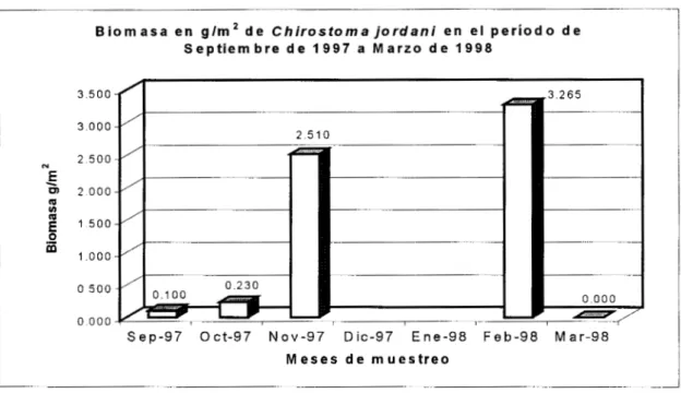 Figura 2. Valores  de  biomasa  para  Ch.  jordani  (Sep97- Mar98) 