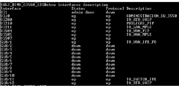 Figura 10. Uso del comando show interface description. Tomado de: 