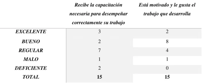 Tabla 3. Capacitación / Motivación 