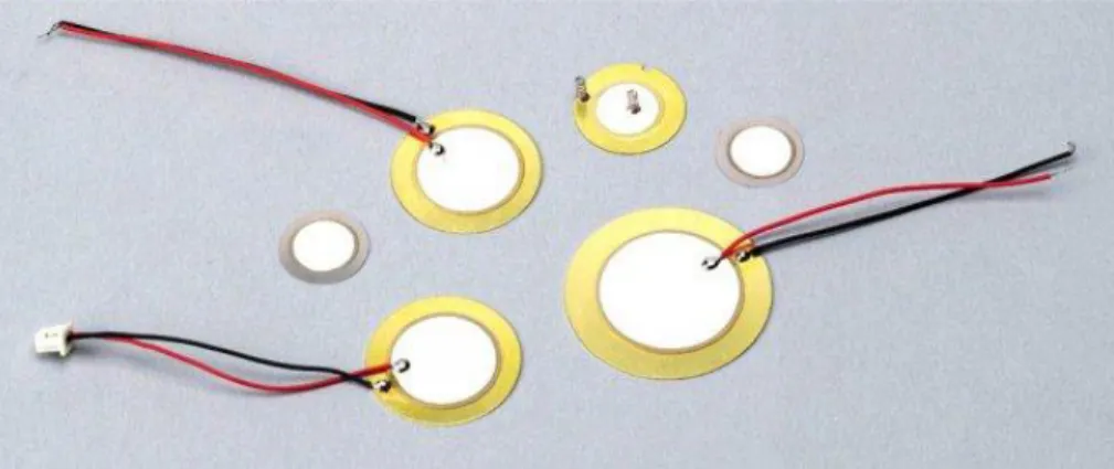 Figura 1-11: Discos Piezoeléctricos [32] 