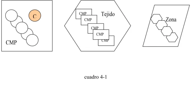 cuadro 4-1 C CMP  CMP                    Tejido CMP CMP CMP CMP          Zona 