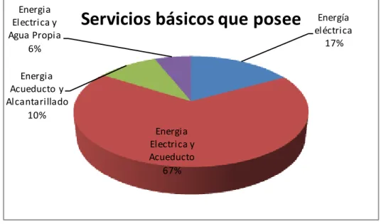 Figura 8. Servicios básicos existentes. 