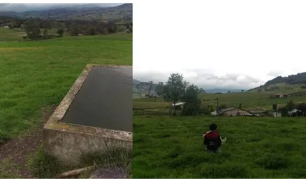 Figura 9. Fuentes de combustible para preparar los alimentos. 