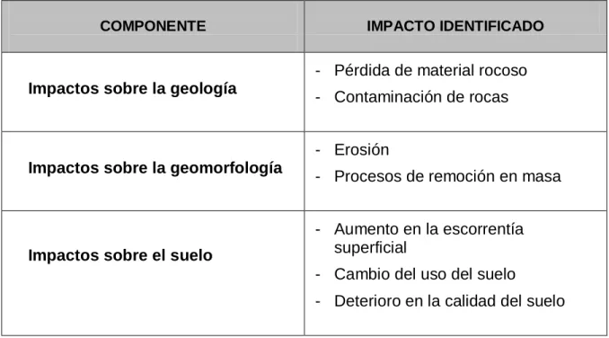 Tabla 2.1 Impactos identificados para cada componente  