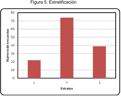 Figura 5. Estratificación 