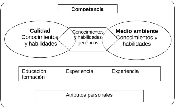 Figura 5.  Competencia de Auditores 