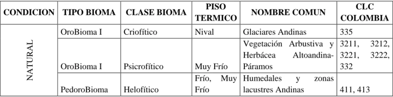 Tabla 7. Correlación entre Biomas y Coberturas de la Tierra 