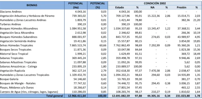 Tabla 8. Condición Estado - Presión de Biomas año 2002 