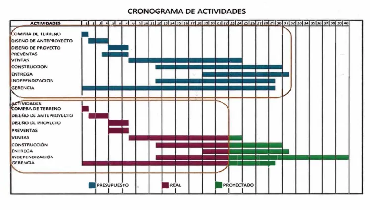 Figura 19: Cronograma de Proyecto  1  1 