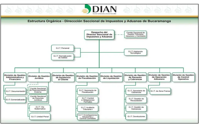 Figura 1. Organigrama Dirección de Impuestos y Aduanas Seccional Bucaramanga 