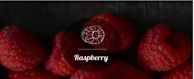 Tabla 6. Producción Blueberry 