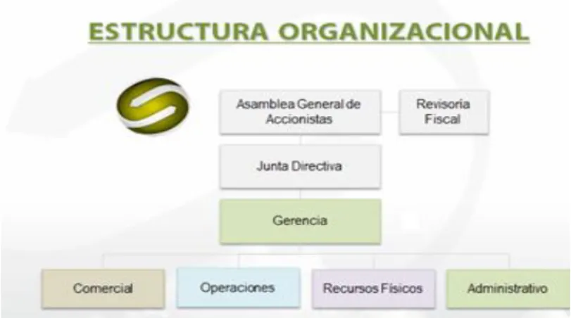 Figura 1. Organigrama Zona Franca Santander S.A. 