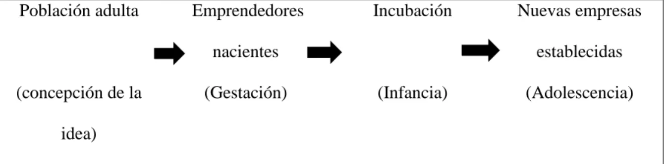 Figura 2.  Proceso de creación de empresas  Fuente: Reynolds, 1997 como cito en Graña, 2002, P., 6    