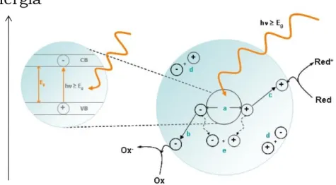 Figura 1. Mecanismo general del proceso de Fotocatálisis en Semiconductores.  (a) Fotogeneración del par electrón/hueco; (b) Reducción del aceptor de 