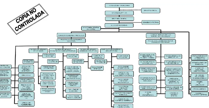 Figura 1. Organigrama. Universidad Santo Tomas  