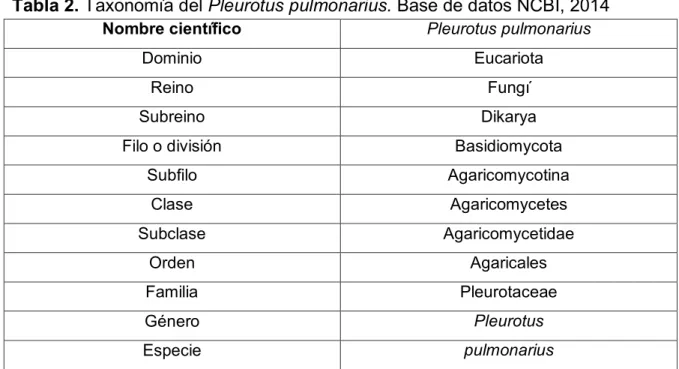 Tabla 2. Taxonomía del Pleurotus pulmonarius. Base de datos NCBI, 2014  Nombre científico Pleurotus pulmonarius