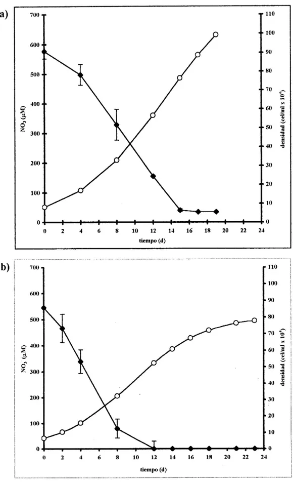Fig.  8.  Evolución  temporal  de  la  concentración  promedio  de  NO3'  f  SEM  en  el  medio,  para  tres 