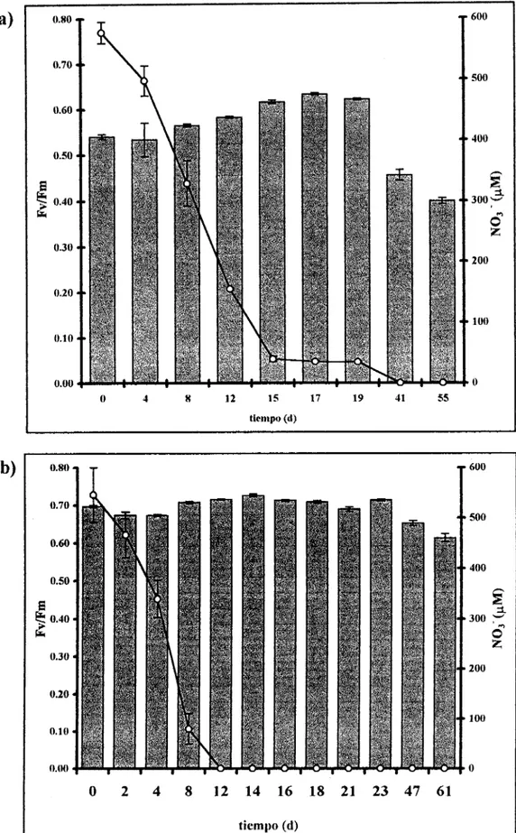 Fig.  11.  Evolución  temporal  de  FvlFm  y  concentración  de  nitratos.  Las  barras  representan  los 