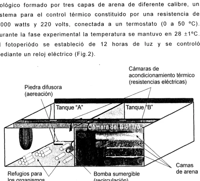 Figura  2.  Diagrama  del  sistema  de  mantenimiento. 