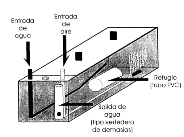 Figura 5.  Detalle  de  las  cámaras  del  sistema. 