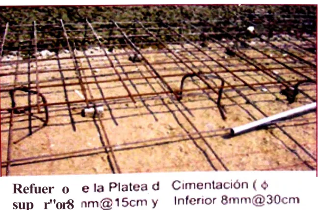 Foto No 06 