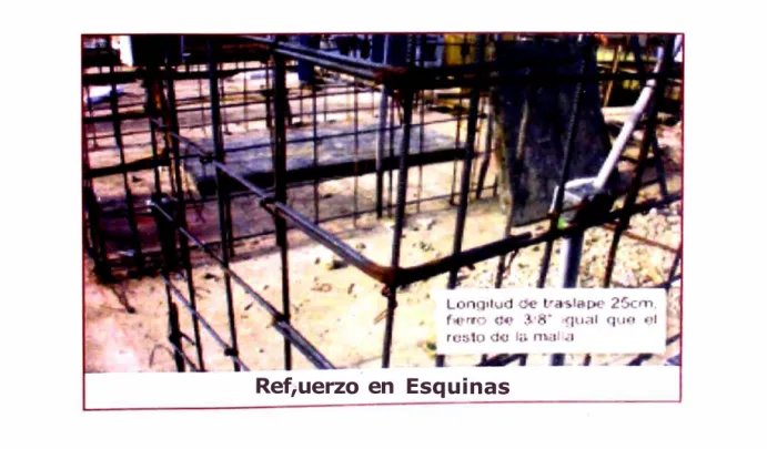 Foto No  10 