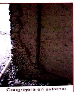 Foto No  17 