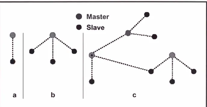Figura 4: Piconets (a) single slave,  (b) multi-slave,  (e) scatternet operation 