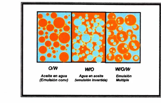 Fig.  1  Esquema de una emulsión 