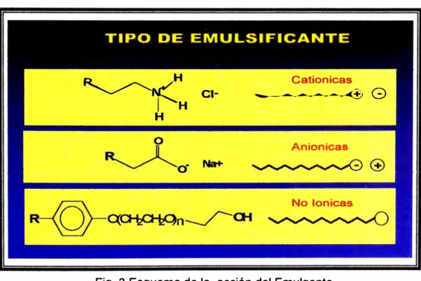 Fig.  3  Esquema de la  acción del Emulgente 