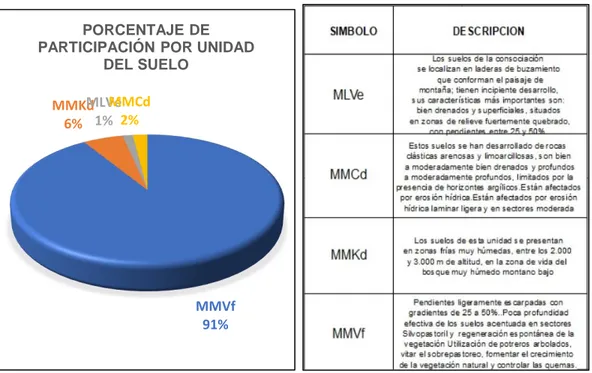 Figura 1. Porcentaje de participación y descripción de las unidades del suelo sobre la RFP  de Pionono MMVf 91%MMKd6%MLVe1%MMCd2%PORCENTAJE DE  PARTICIPACIÓN POR UNIDAD 