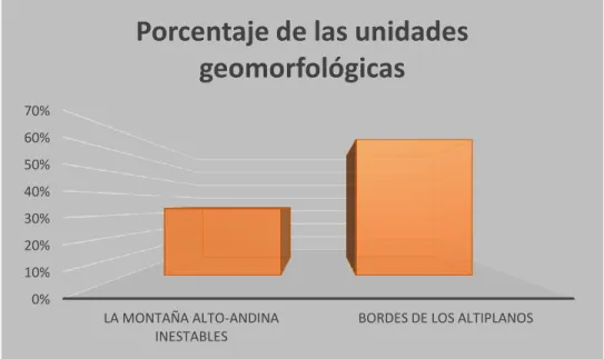 Figura 2. Porcentaje de participación de las unidades geomorfológicas 