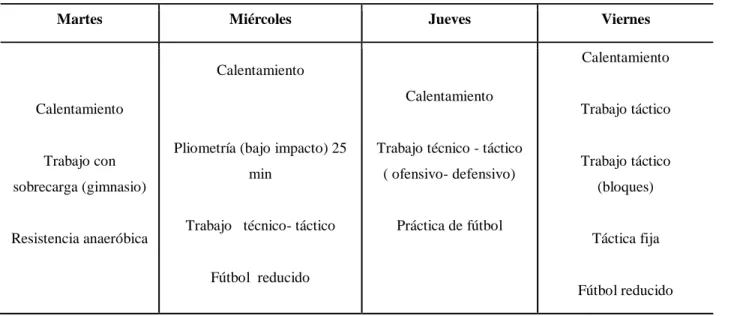 Tabla 13. Micro ciclo de recuperación (semana 4). 