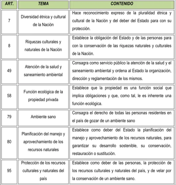 Tabla  1  Normas  y  principios  ambientales  contenidos  en  la  Constitución  Política de Colombia 6                                                             6 Disponible  en:  http://www.upme.gov.co/guia_ambiental/carbon/gestion/politica/normativ/nor