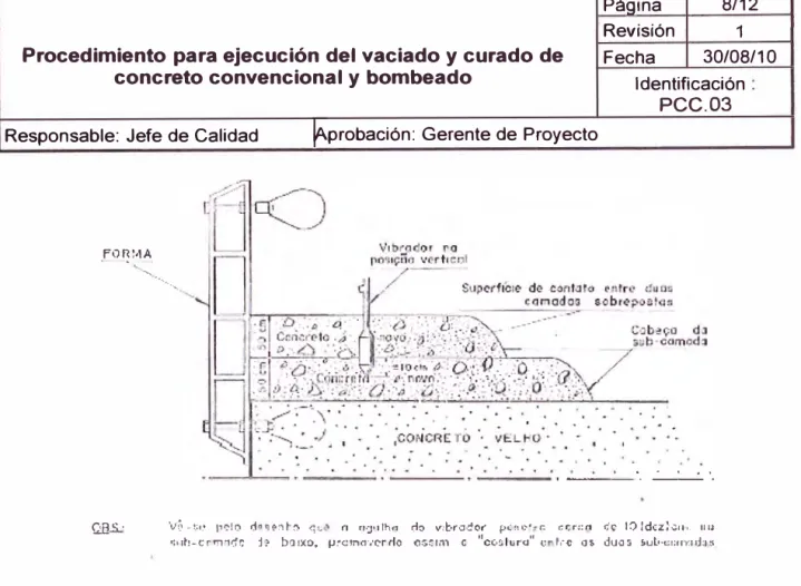 Figura 3:  Colocación correcta del vibrador (vertical) 